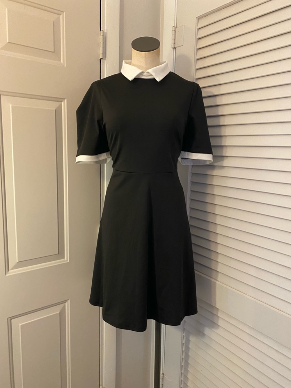 Classic Black A-Line Dress with White Peter Pan Collar- Size 1 XL